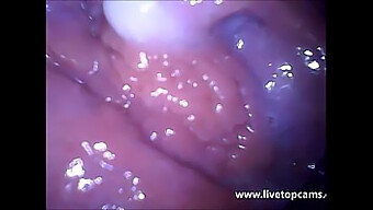 Witness The Intense Pleasure Of A Vagina'S Climax In This Secretfriends.Com Video