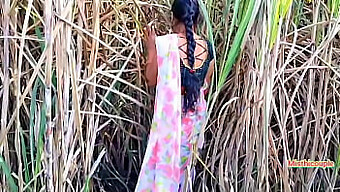 Desi Aunty Gets Fucked In The Open Field Of Sugarcane