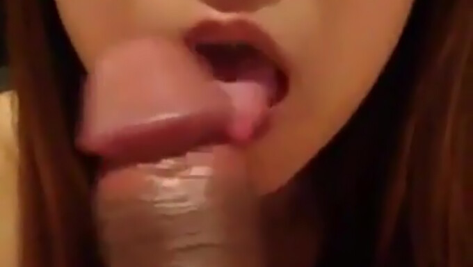 POV view of Asian amateur giving a nice blowjob